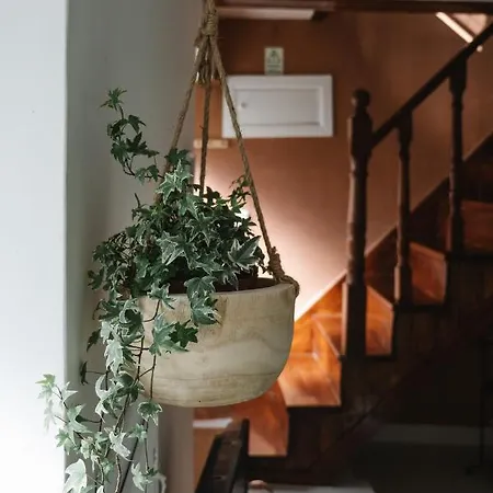 Cimo Do Monte - Casa Rustica Na Aldeia Vila Nova de Foz Coa